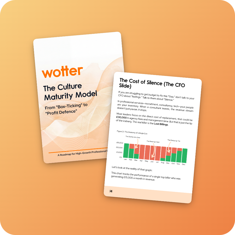 Image of the Wotter cultural maturity ebook